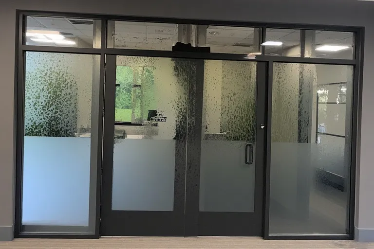 Frosted Glass Cabinets