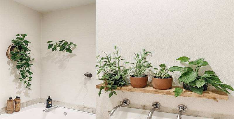 Incorporate Green Elements