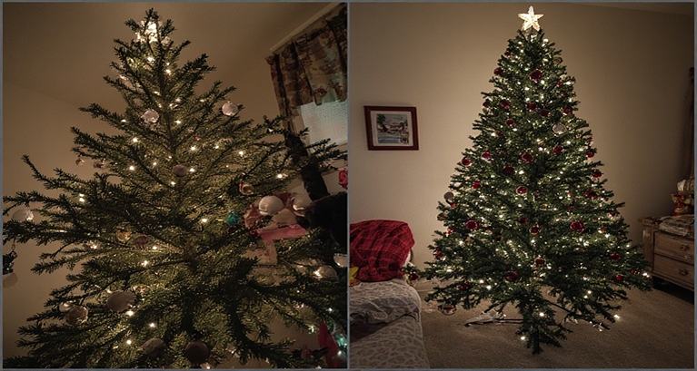 Tree Decoration Matters