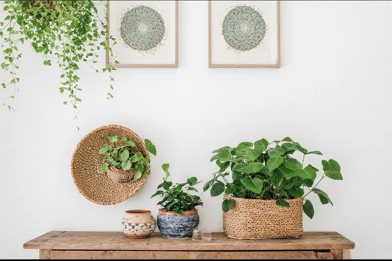 Embrace Nature Indoors