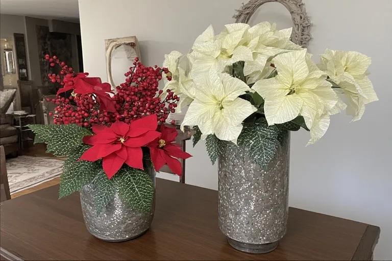 Seasonal Flowers and Plants