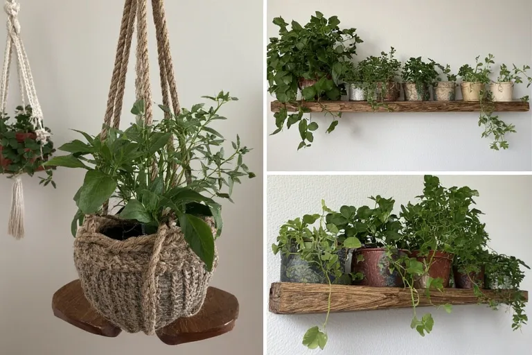 Bringing Greenery Into Your DIY Style