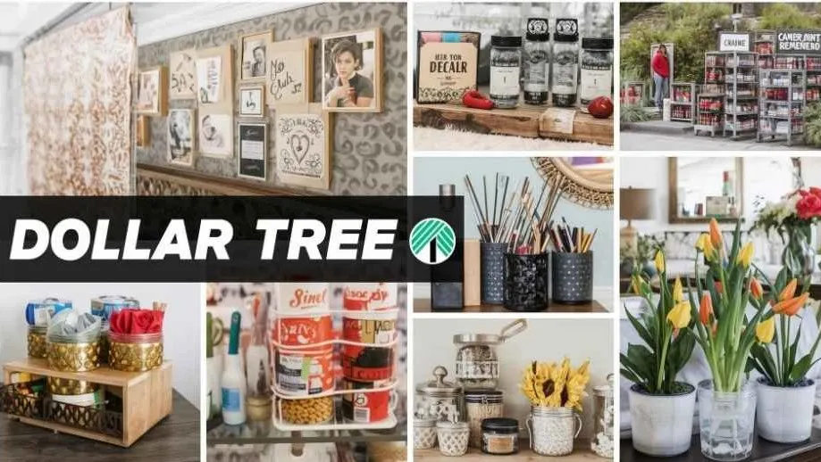 Dollar Tree creative ideas 
