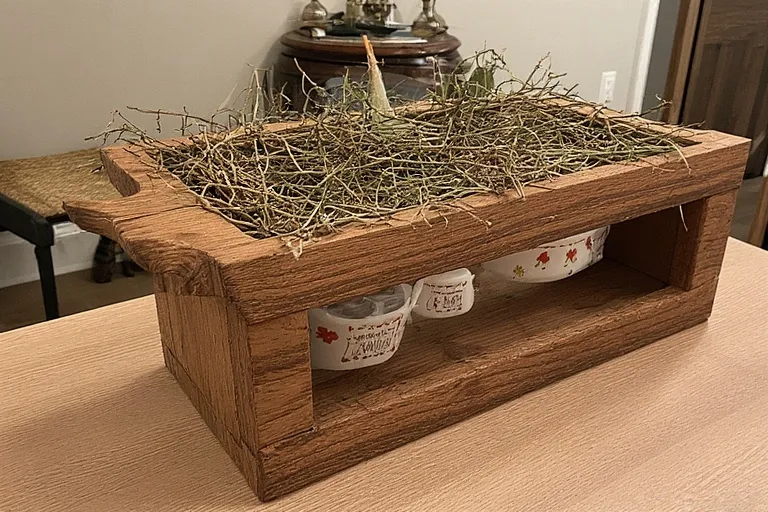 Budget-Friendly Design