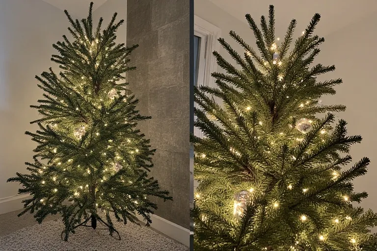 Lighting Choices for a Rustic Tree