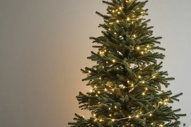 Lighting Techniques for a Soft Glow