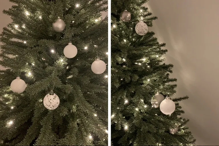 Modern and Minimal Tree Styles