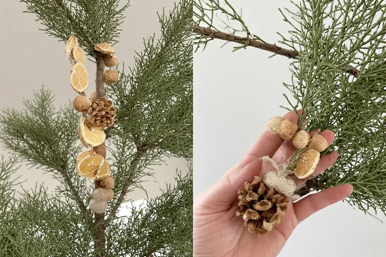 Natural Elements for a Refined Touch