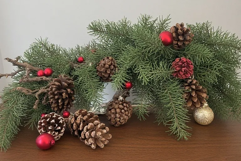 Simple and Sustainable Ideas