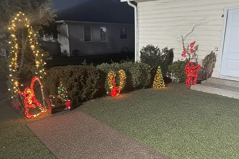 Sustainable Choices for a Modern Holiday