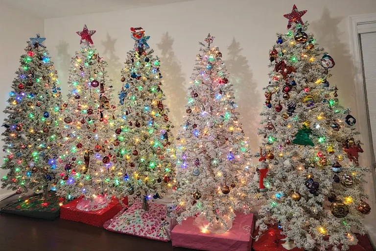 Whimsical and Family-Friendly Designs